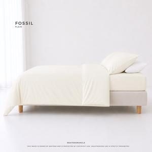 Plain Fossil